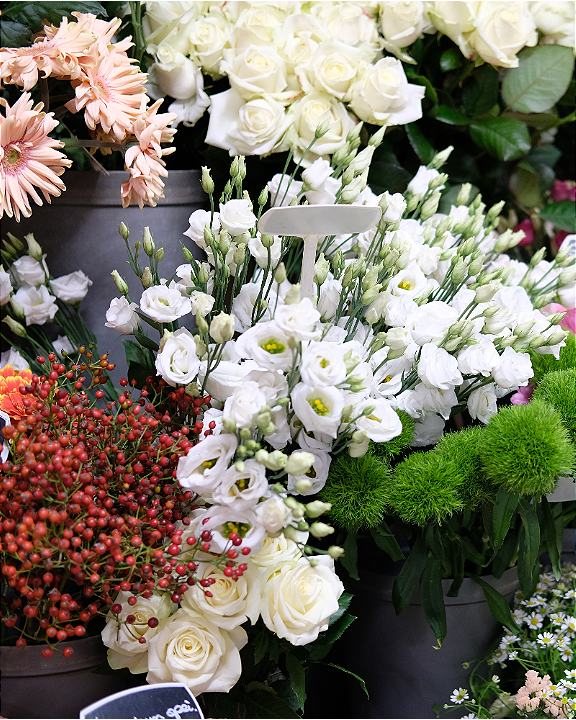 Koop uw favoriete bloemen bij tuincentrum de Oude Tol in Wageningen!