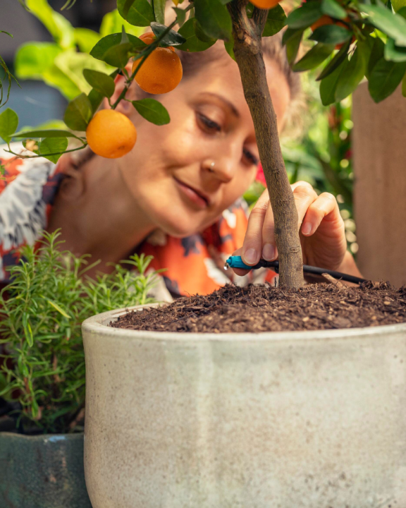 Ontdek de bewateringsproducten van Gardena, bijvoorbeeld een druppelaar!