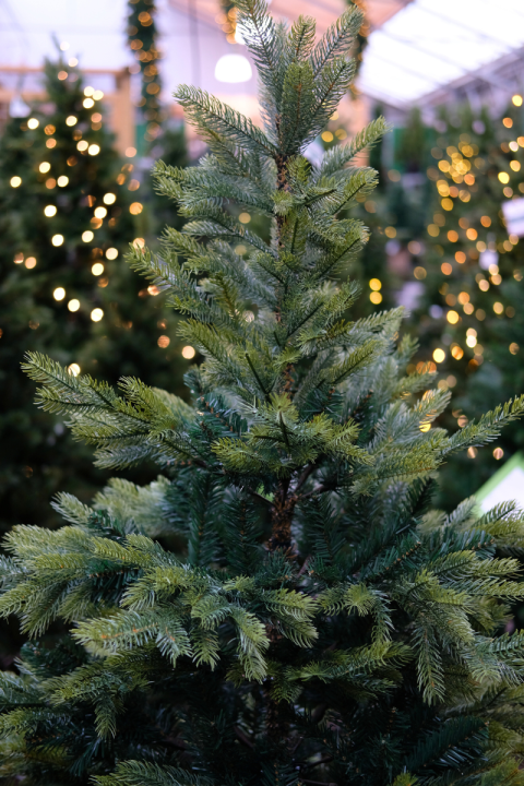 Kunstkerstboom kopen in Wageningen | Tuincentrum de Oude Tol