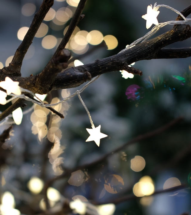 Kerstverlichting kopen |  Tuincentrum de Oude Tol