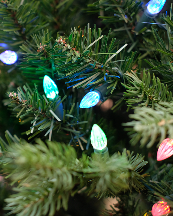 Kerstverlichting kopen in Wageningen | Tuincentrum de Oude Tol