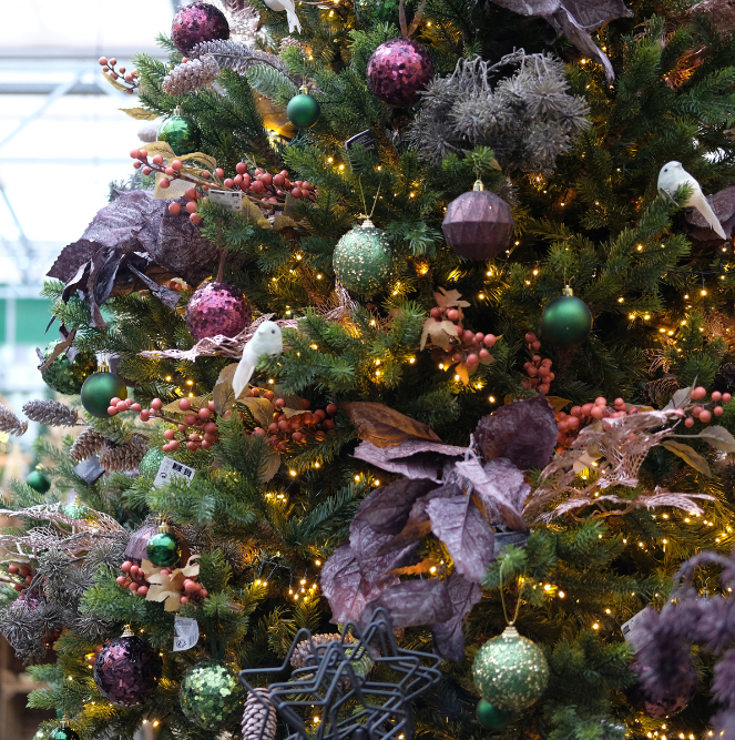 Kerst 2024 | Tuincentrum de Oude Tol in Wageningen