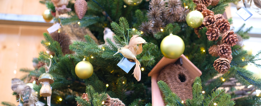 Bezoek de kerstshow van tuincentrum de Oude Tol!