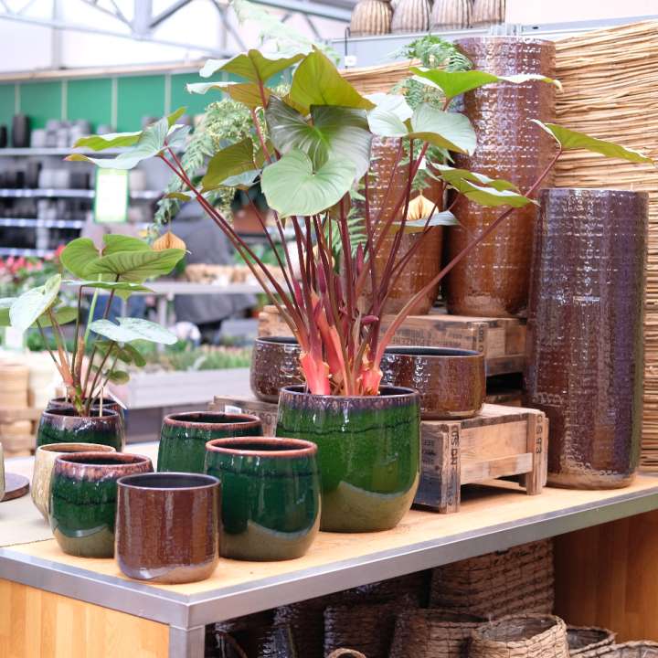 Pokon Waterproof Bodembedekker | Tuincentrum de Oude Tol