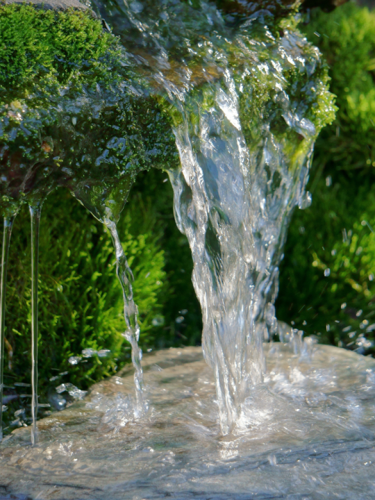 Waterornamenten en fonteinen | Tuincentrum de Oude Tol in Wageningen