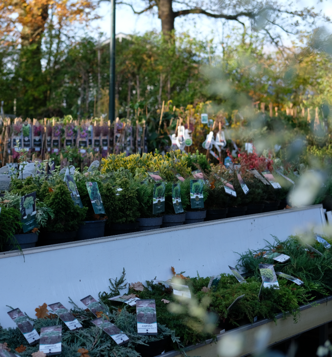 Tuinplanten kopen in Wageningen | Tuincentrum de Oude Tol