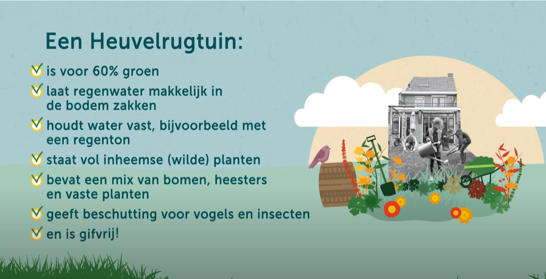 Heuvelrugtuin aanleggen | Tuincentrum de Oude Tol