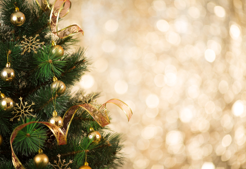 Kunstkerstbomen Arnhem | Tuincentrum De Oude Tol