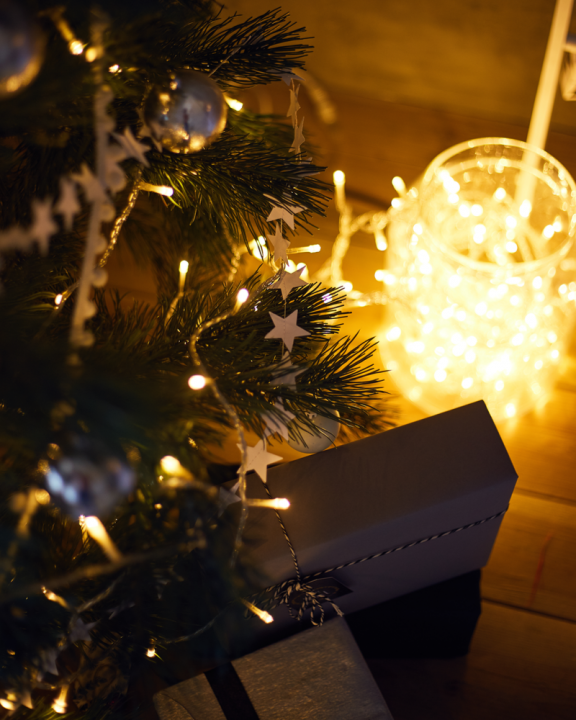 Kerstverlichting kopen in Wageningen | Tuincentrum de Oude Tol