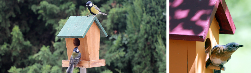 Vogelhuisjes kopen - de Oude Tol Tuincentrum de Tol