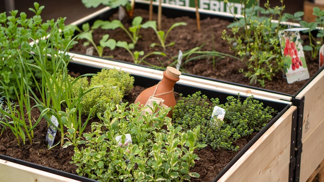 Bezoek ons Groen Klimaatplein | Tuincentrum de OudeTol