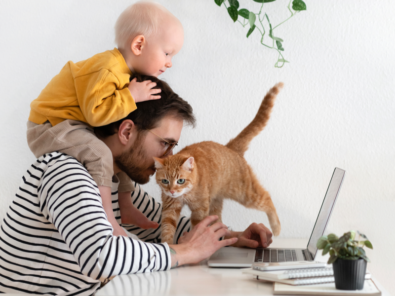 Katten verzorgingsproducten kopen | Tuincentrum de Oude Tol - Tuincentrum de Tol