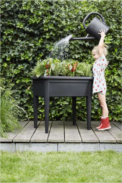 limoen Bekwaam Buitensporig Moestuin - Tuincentrum de Oude Tol