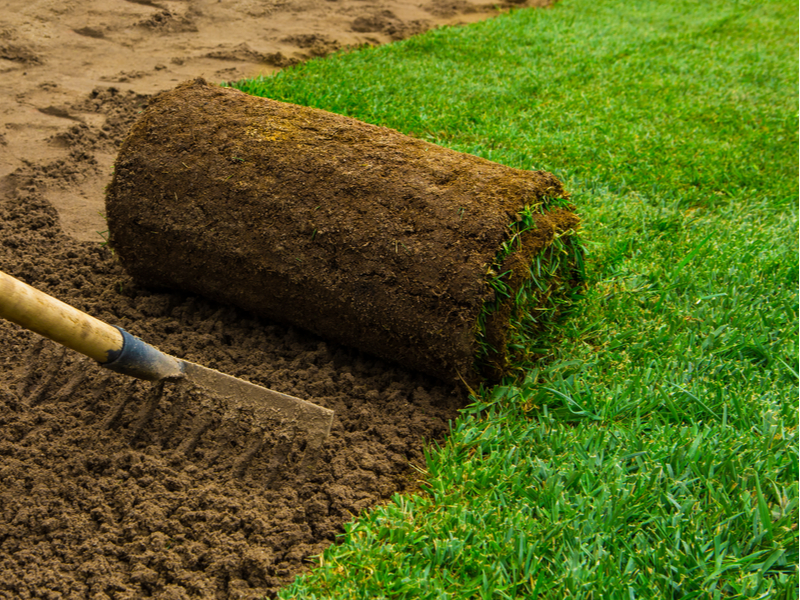 grijs wraak wenselijk Graszoden kopen | Tuincentrum de Oude Tol - Tuincentrum de Oude Tol