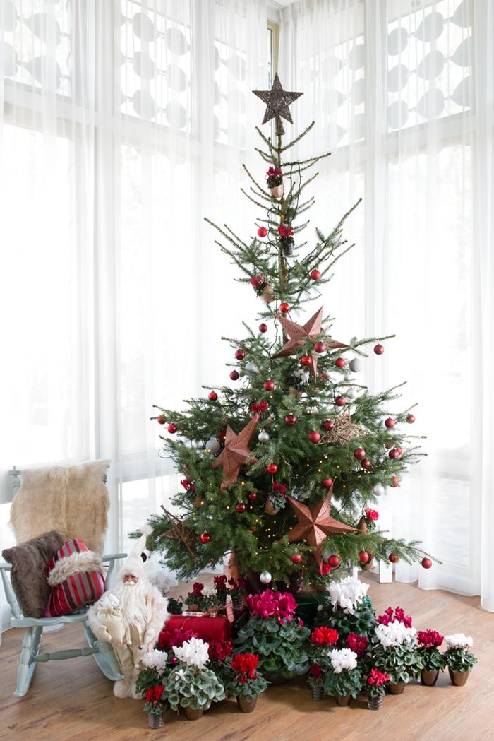 Kerstbomen bij Tuincentrum De Oude Tol