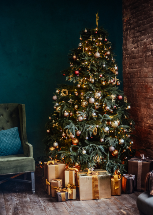 Oplossen Heel veel goeds Ongelijkheid Kerstversiering kopen | tuincentrum de Oude Tol in Wageningen | 2021 - Tuincentrum de Oude Tol Oplossen Heel veel goeds Ongelijkheid Kerstversiering kopen | tuincentrum de Oude Tol in Wageningen | 2021 - Tuincentrum de Oude Tol