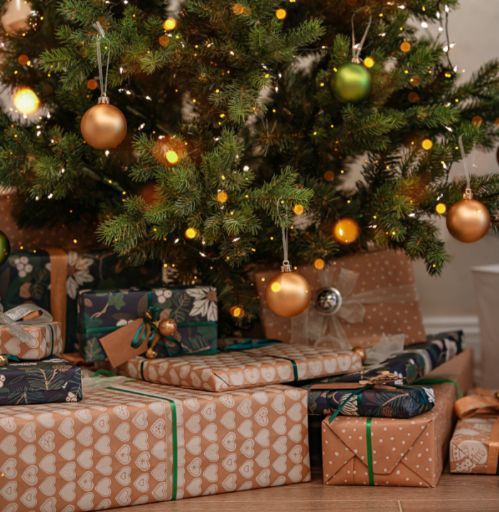 Kerstdecoratie kopen |  Tuincentrum de Oude Tol