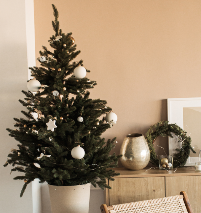 Kerstdecoratie kopen in Wageningen | Tuincentrum de Oude Tol
