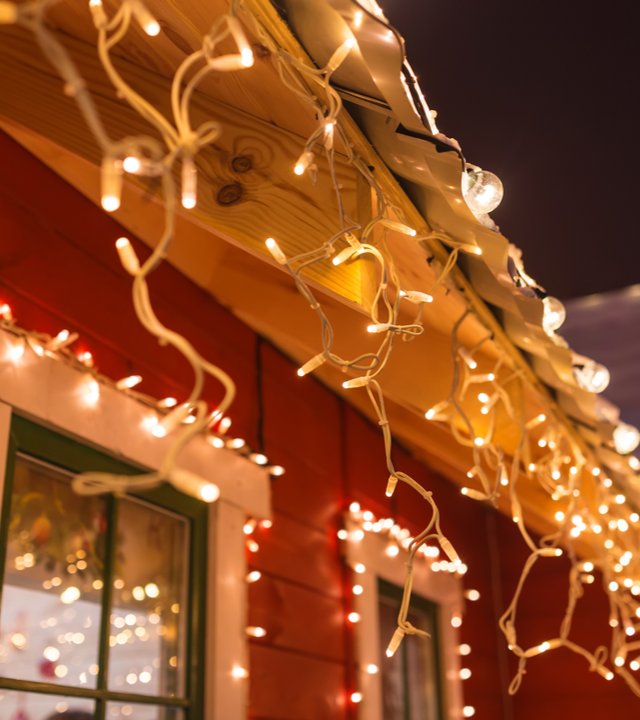 Kerstdecoratie kopen |  Tuincentrum de Oude Tol