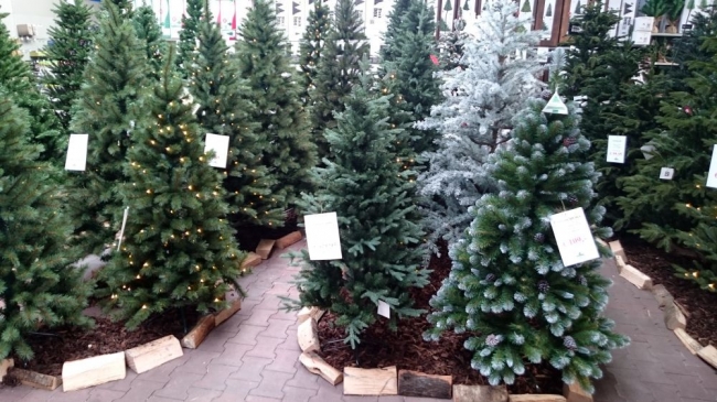 Kunstkerstbomen Arnhem Tuincentrum de Tol