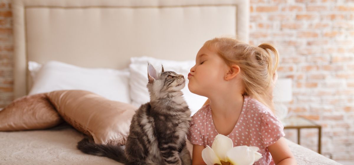 Dieren