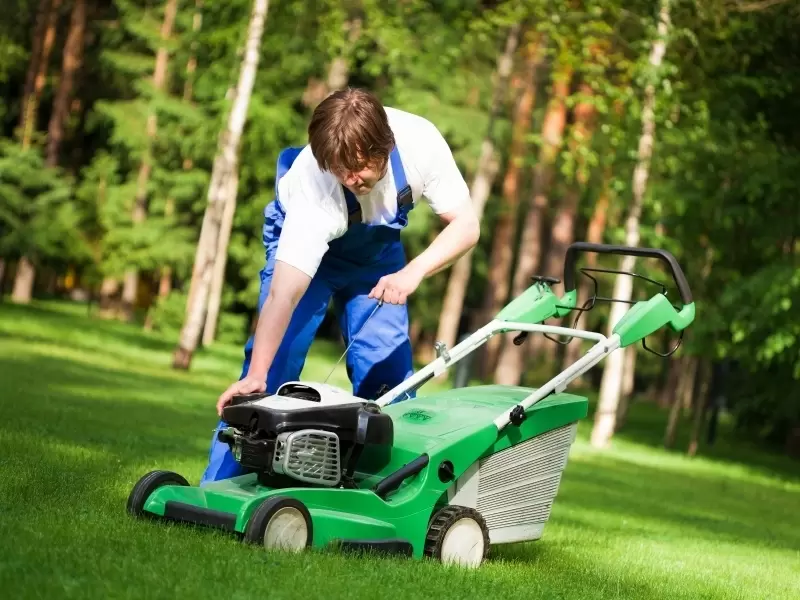 struik erts Overgang Elektrisch tuingereedschap - Tuintips - Tuincentrum de Oude Tol