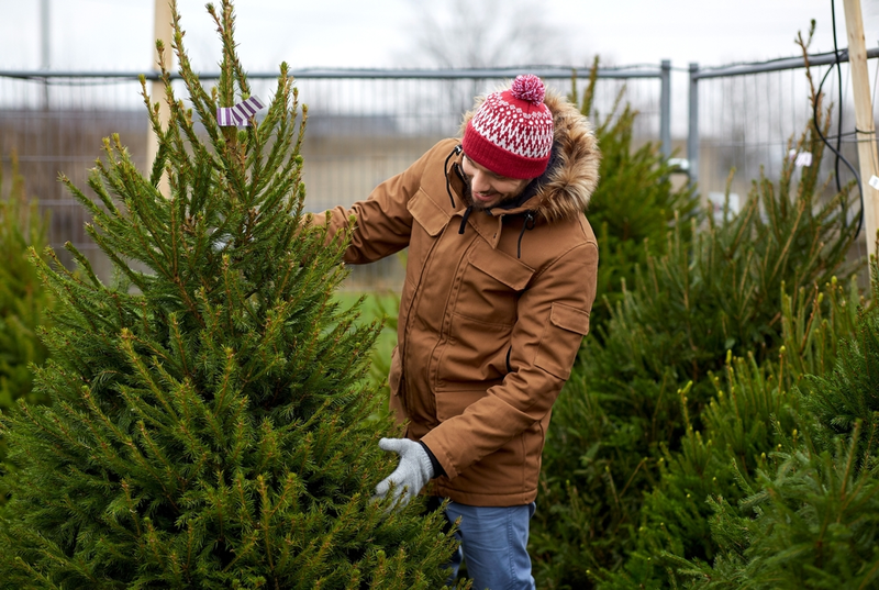 Transparant overhemd Catena Kunstkerstboom of echte kerstboom? - Tuincentrum de Oude Tol