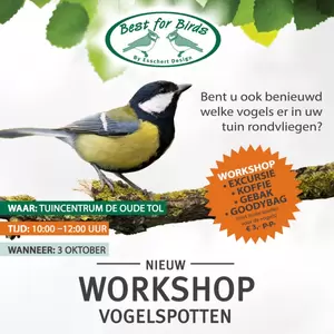 Vogelspotten