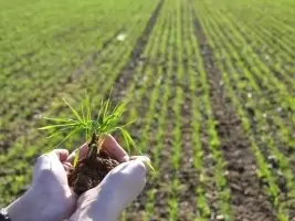 Waarom zijn voedingsstoffen belangrijk voor uw tuin?