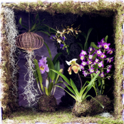 Bloeiende kamerplanten