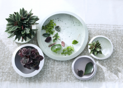 Arrangementen en bloemstukken