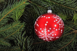 Kerstboom kopen? Tuincentrum De Oude Tol is uw kerstboomspecialist!
