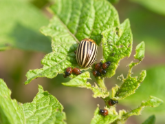 Gewasbescherming Wageningen | Kom langs in Tuincentrum Oude Tol