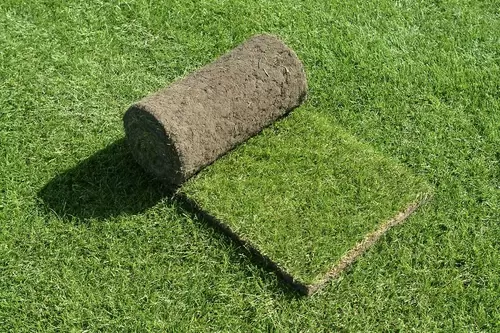 Graszoden Schaduw