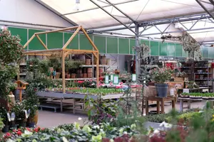 Tuinplanten